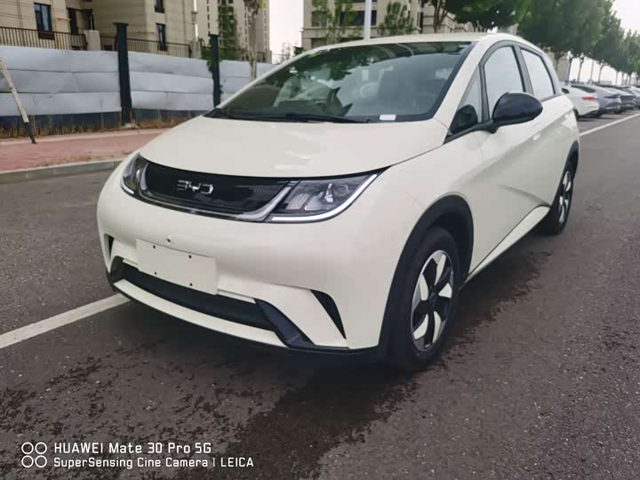 BYD Dolphin, 2026 — купить в Липецке под ключ
