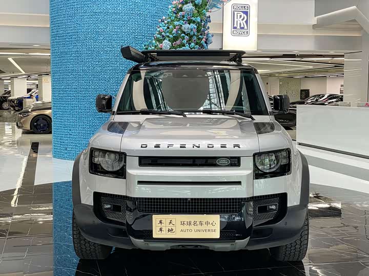 Land Rover Defender, 2021 — фото 2 из 9