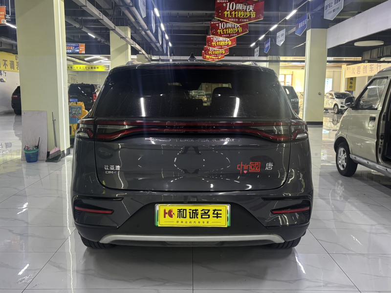 BYD Tang Hybrid/EV, 2023 — фото 4 из 12