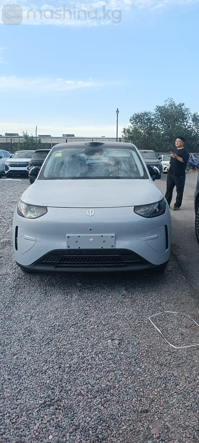 Leapmotor A10, 2026
