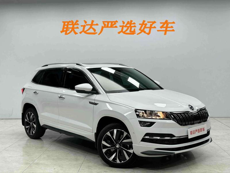 Skoda Karoq, 2023 — фото 3 из 12