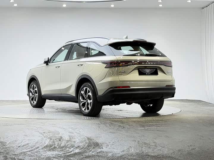 Haval H7 Hybrid, 2025 — фото 4 из 9