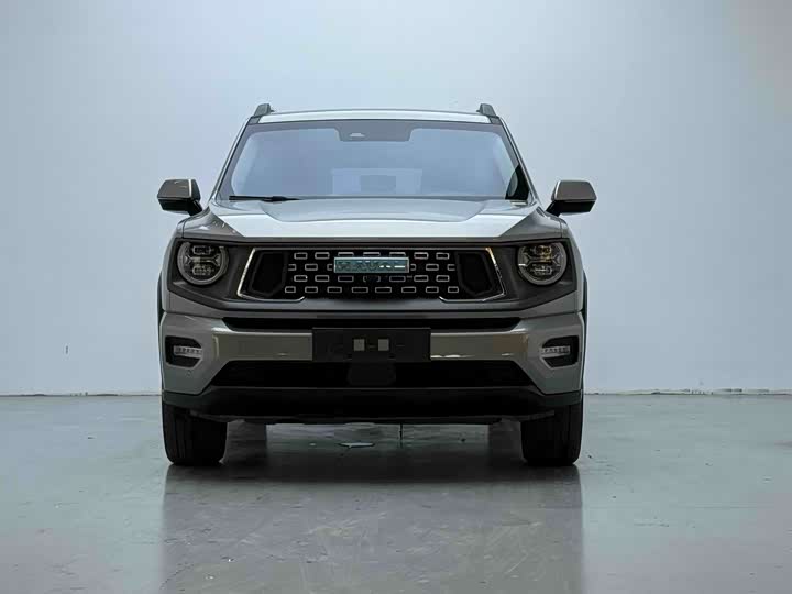 Haval H-Dog Hybrid, 2024 — фото 2 из 9