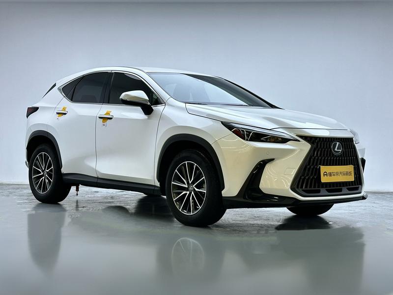 Lexus NX, 2023 — фото 3 из 12