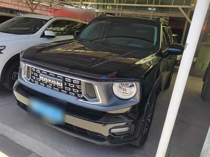 Haval H-Dog, 2024 — купить в Санкт-Петербурге под ключ
