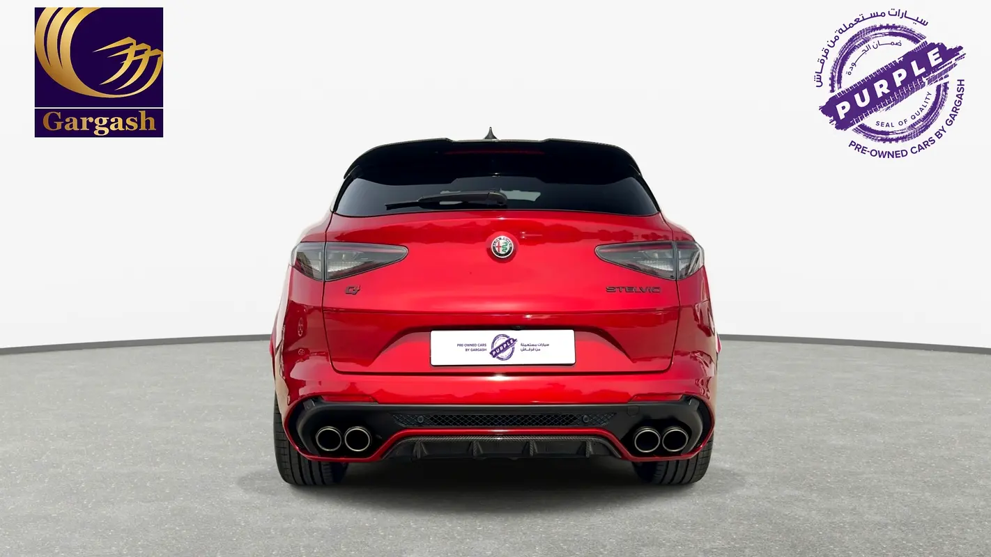 Alfa Romeo Stelvio, 2025 — фото 6 из 10