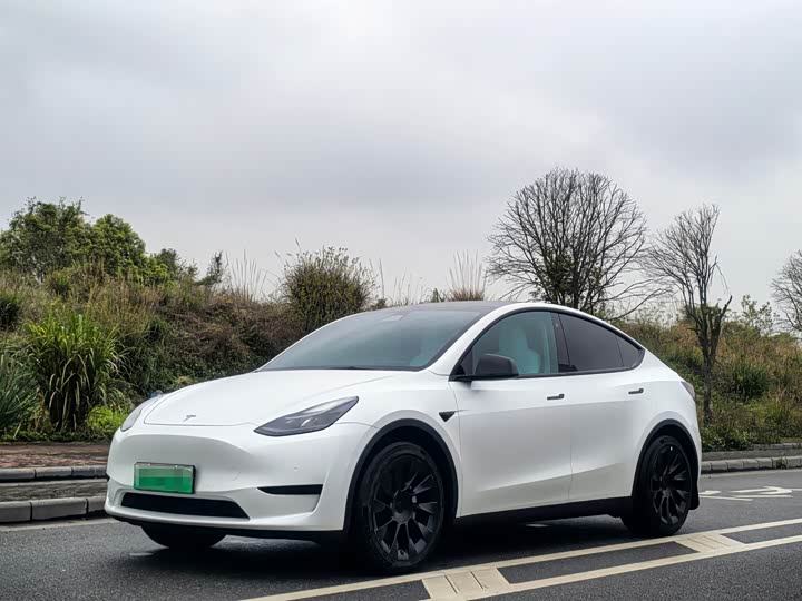 Tesla Model Y, 2023 — купить в Твери под ключ