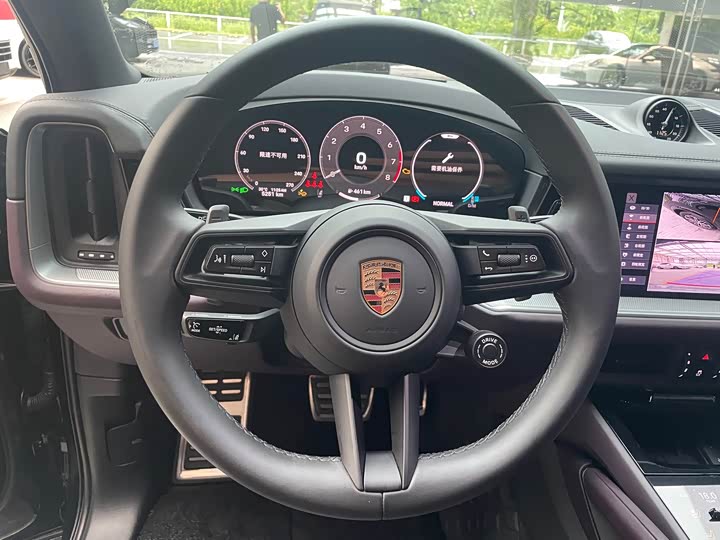 Porsche Cayenne, 2025 — фото 9 из 9
