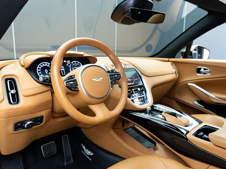 Aston Martin DBX, 2024 — фото 9 из 9