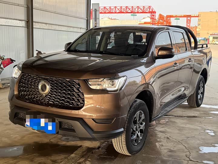 Great Wall Pao, 2022 — купить в Санкт-Петербурге под ключ