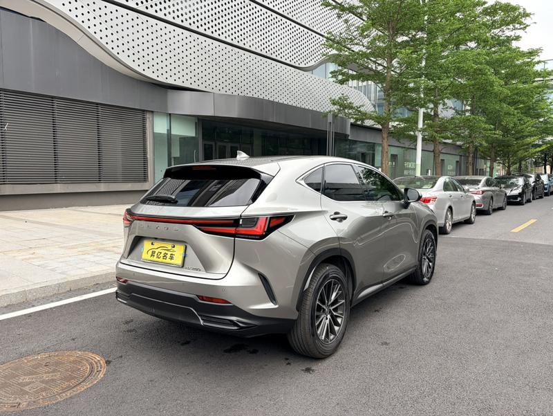 Lexus NX, 2022 — фото 6 из 12