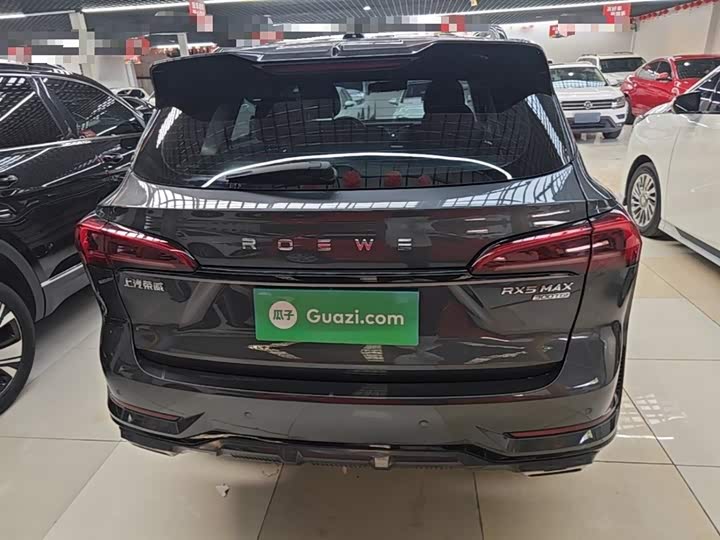 Roewe RX5 Max, 2022 — фото 6 из 9