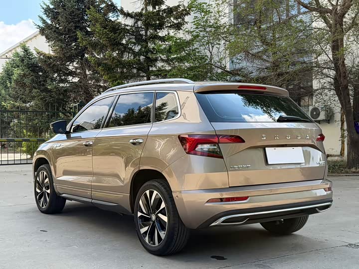 Skoda Karoq, 2022 — фото 7 из 9