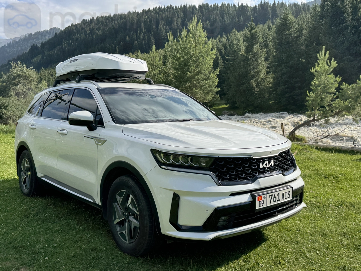 Kia Sorento, 2022 — фото 3 из 12