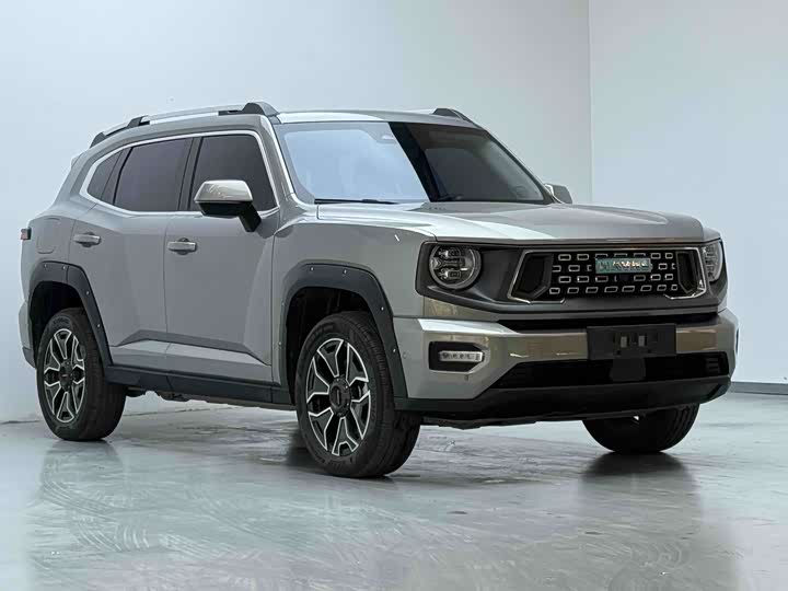 Haval H-Dog Hybrid, 2024 — фото 3 из 9