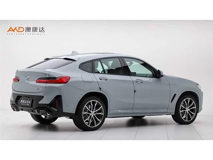 BMW X4, 2024 — фото 3 из 9
