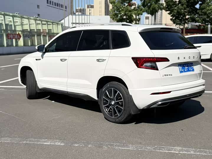 Skoda Karoq, 2022 — фото 8 из 9