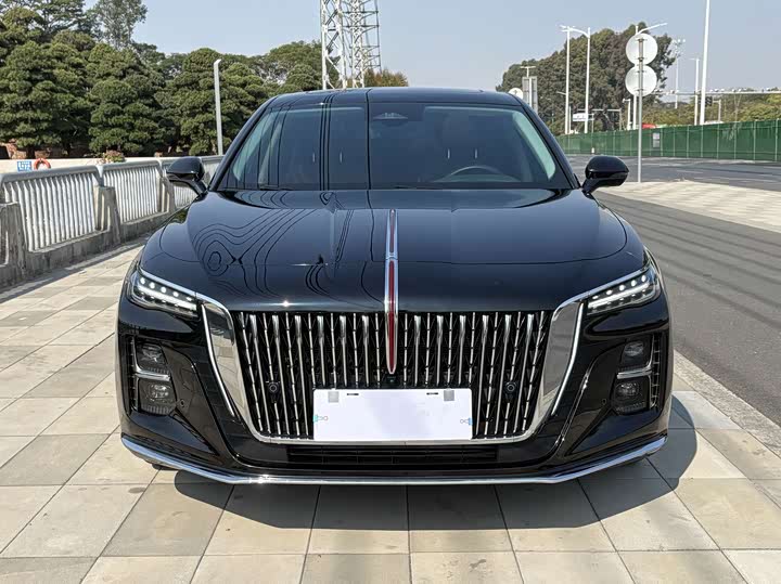 Hongqi H5, 2024 — фото 2 из 9