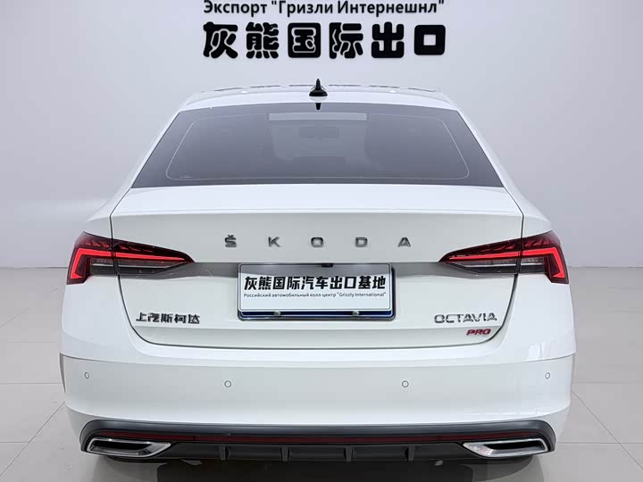 Skoda Octavia Pro, 2021 — фото 5 из 9