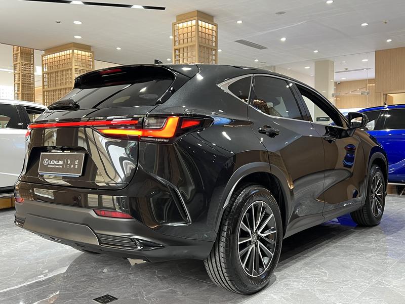 Lexus NX, 2023 — фото 6 из 12