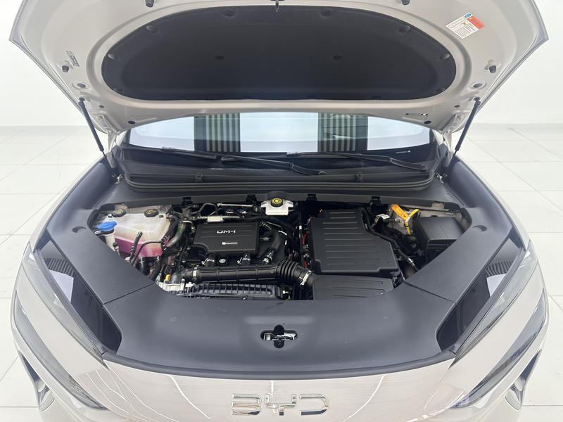 BYD Sea Lion 06 Hybrid/EV, 2025 — фото 12 из 12