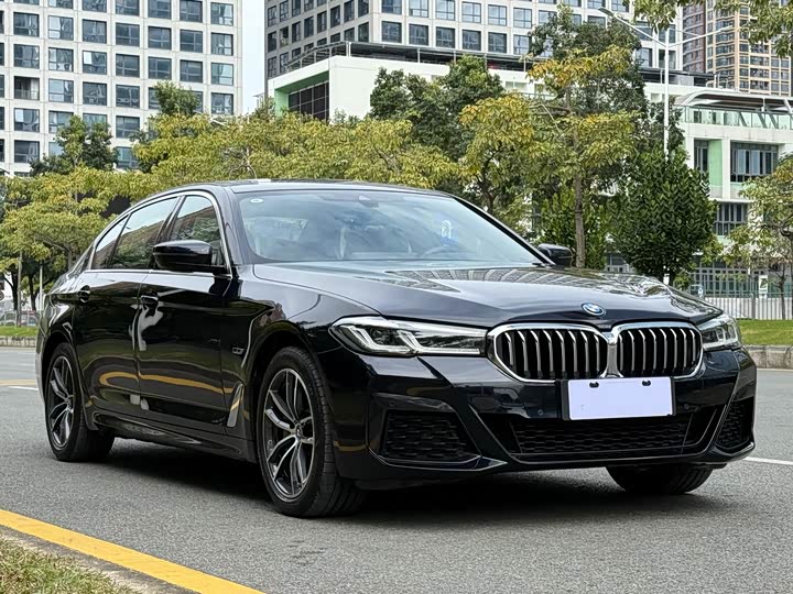 BMW 5 Series Hybrid, 2022 — фото 3 из 9