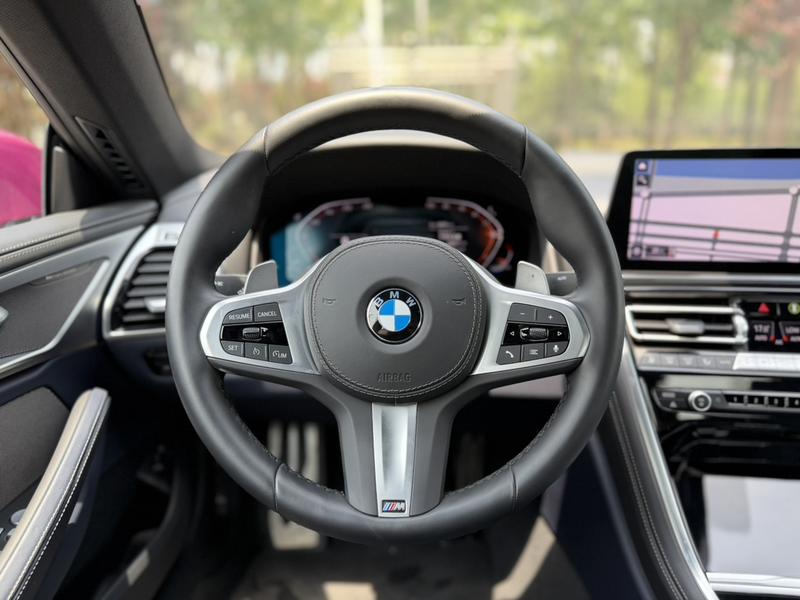 BMW 8 Series, 2025 — фото 9 из 12