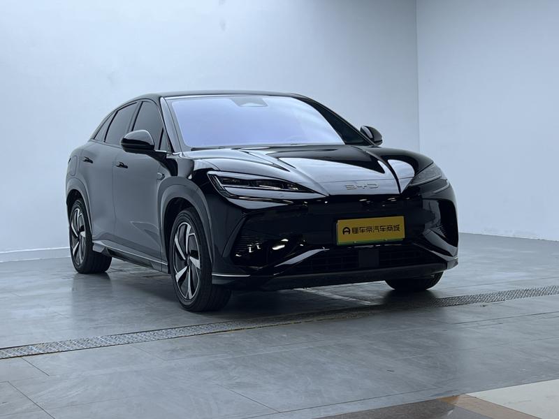 BYD Sea Lion 07 EV, 2024 — фото 3 из 12