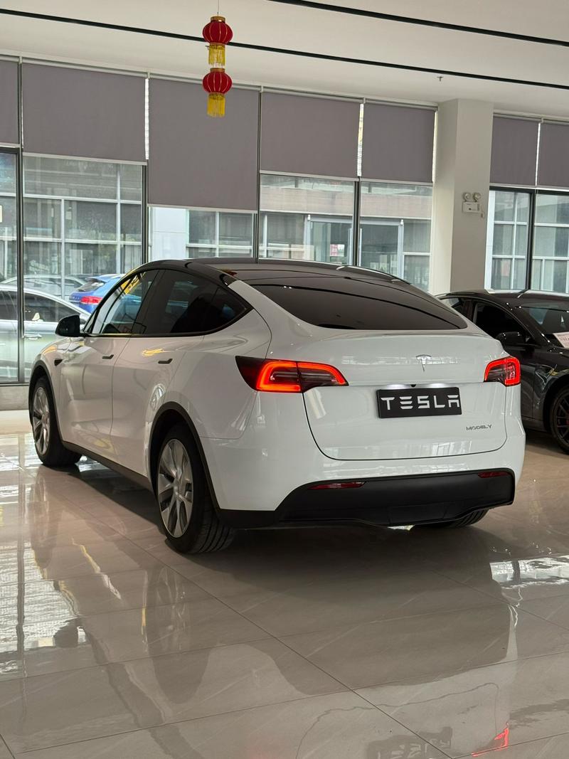 Tesla Model Y, 2022 — фото 4 из 10