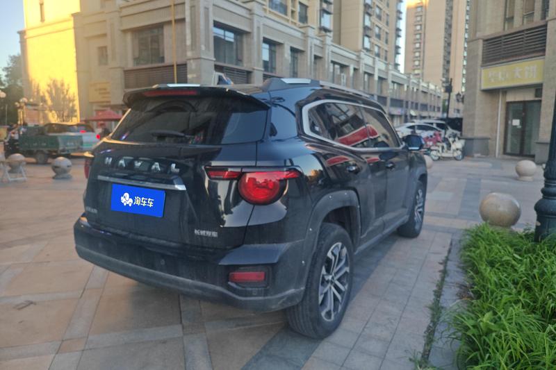 Haval H-Dog, 2023 — фото 3 из 10