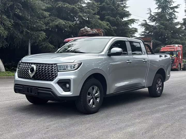 Great Wall Pao, 2023 — купить в Ижевске под ключ