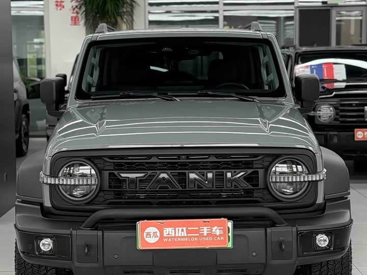 Tank 300 Hybrid, 2025 — фото 4 из 9