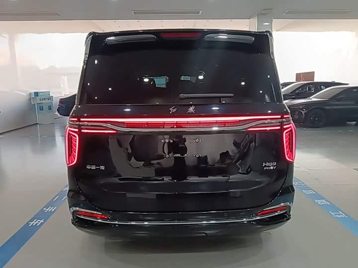 Hongqi HQ9 Hybrid, 2024 — фото 6 из 9