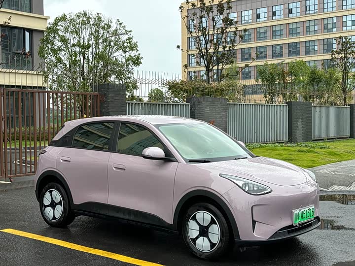 Geely Galaxy Geome, 2025 — фото 3 из 9
