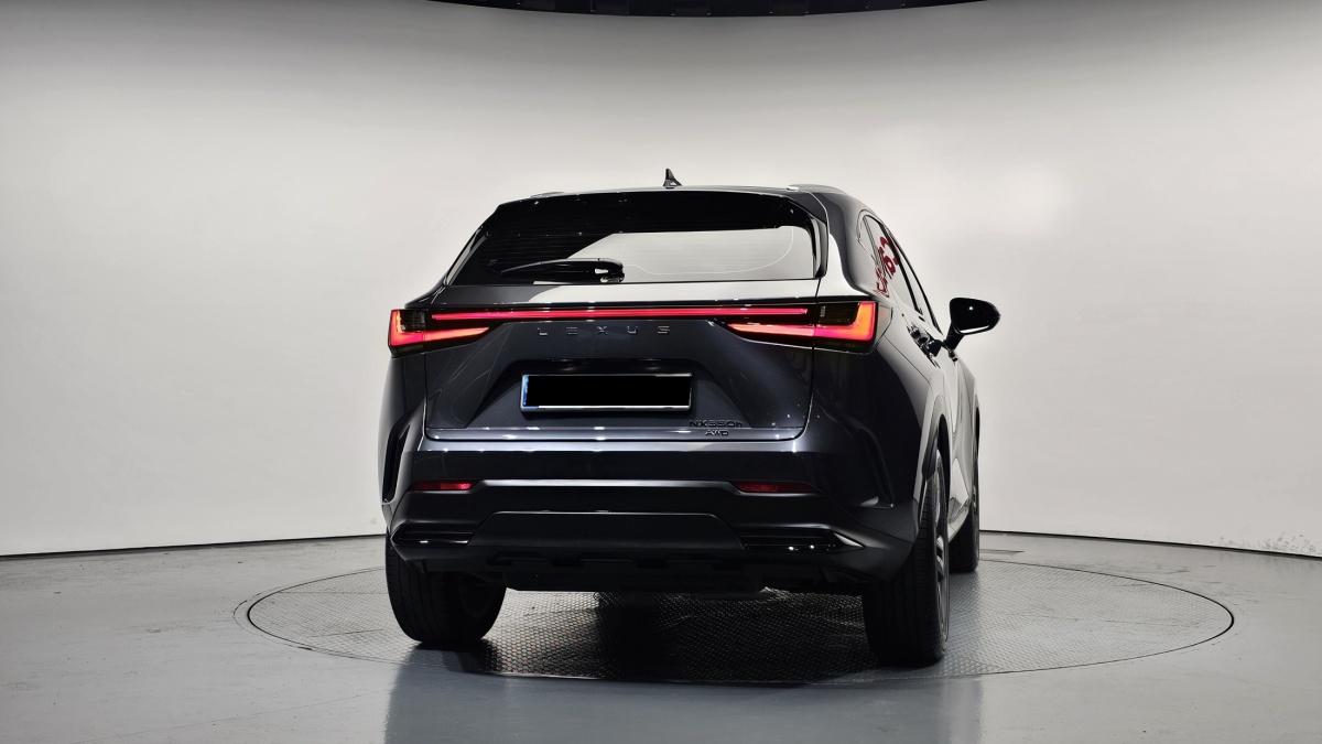 Lexus NX, 2023 — фото 4 из 12