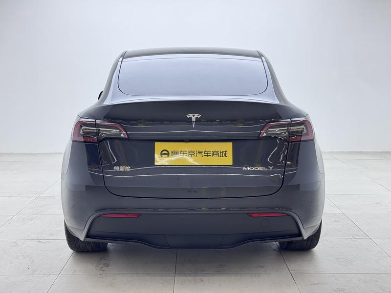 Tesla Model Y, 2024 — фото 6 из 12