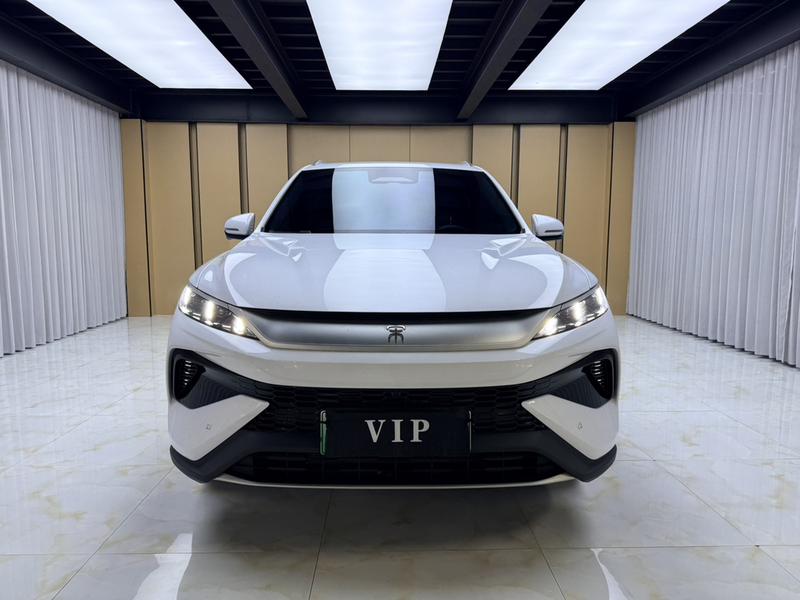 BYD Song Pro Hybrid, 2025 — фото 2 из 11