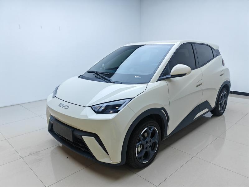 BYD Seagull, 2024 — купить в Самаре под ключ