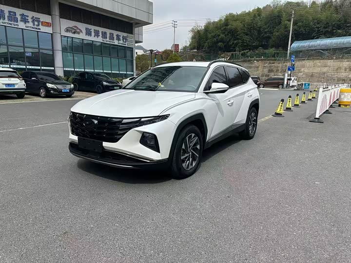 Hyundai Tucson L, 2023 — фото 2 из 9