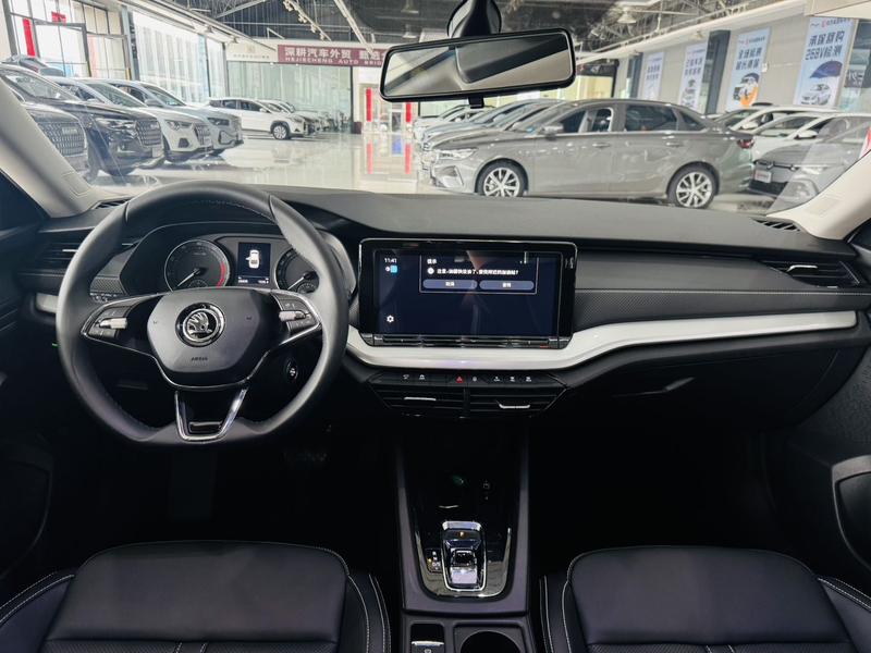Skoda Octavia Pro, 2023 — фото 7 из 12