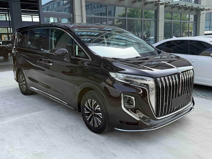 Hongqi HQ9 Hybrid, 2023 — фото 3 из 9