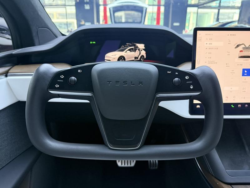Tesla Model X, 2023 — фото 8 из 12