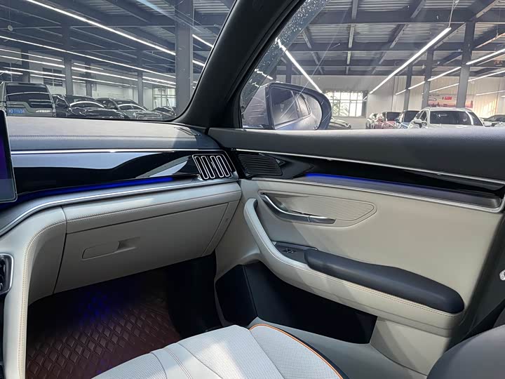 BYD Song Plus Hybrid/EV, 2023 — фото 9 из 9