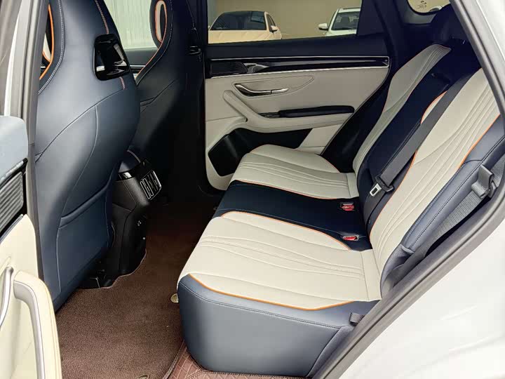 BYD Song Plus Hybrid/EV, 2023 — фото 7 из 9