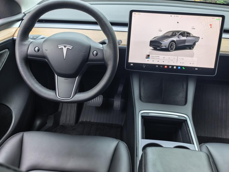 Tesla Model Y, 2021 — фото 6 из 11