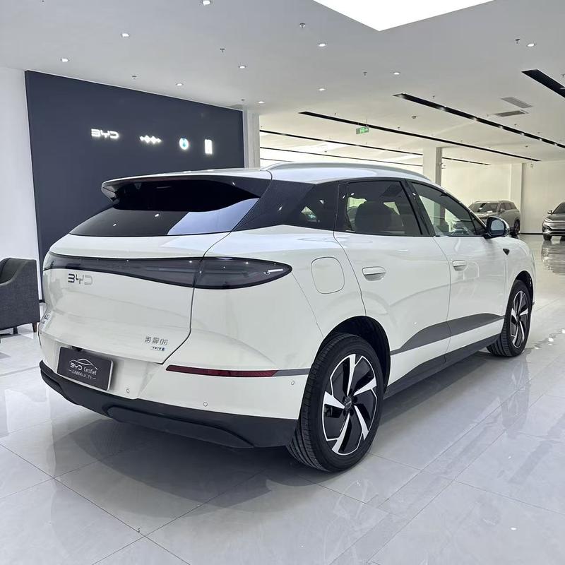 BYD Sea Lion 06 Hybrid/EV, 2025 — фото 5 из 11