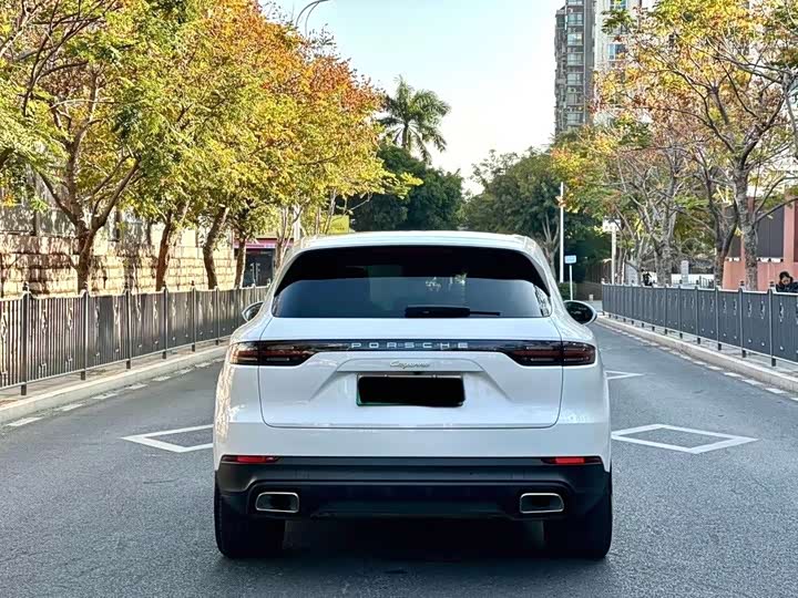 Porsche Cayenne Hybrid, 2022 — фото 8 из 9