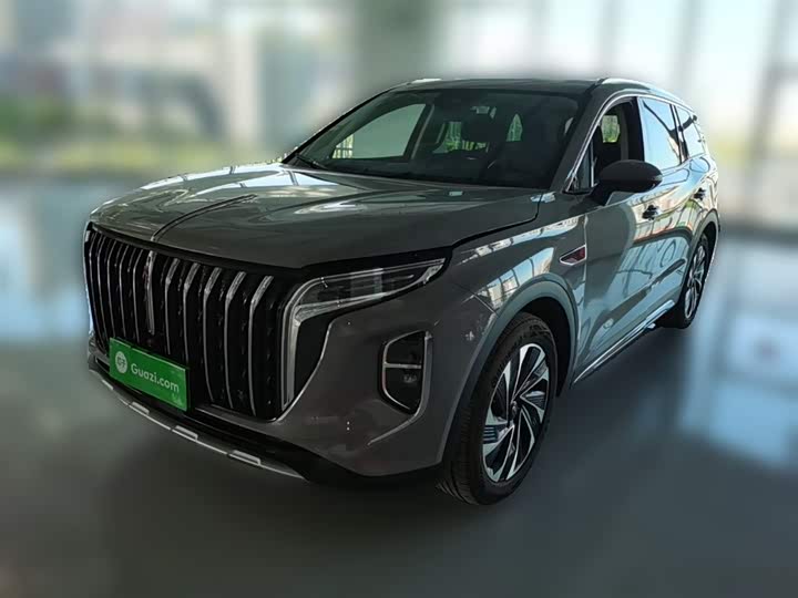 Hongqi HS7 Hybrid, 2024 — фото 3 из 9