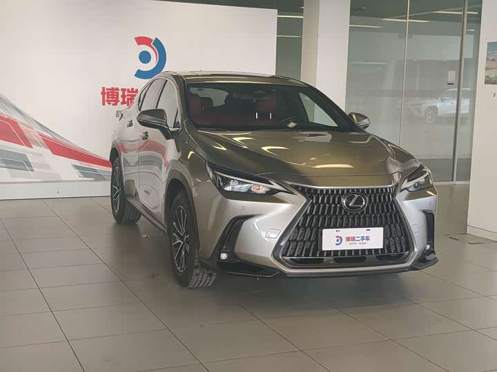 Lexus NX Hybrid, 2022 — фото 3 из 9
