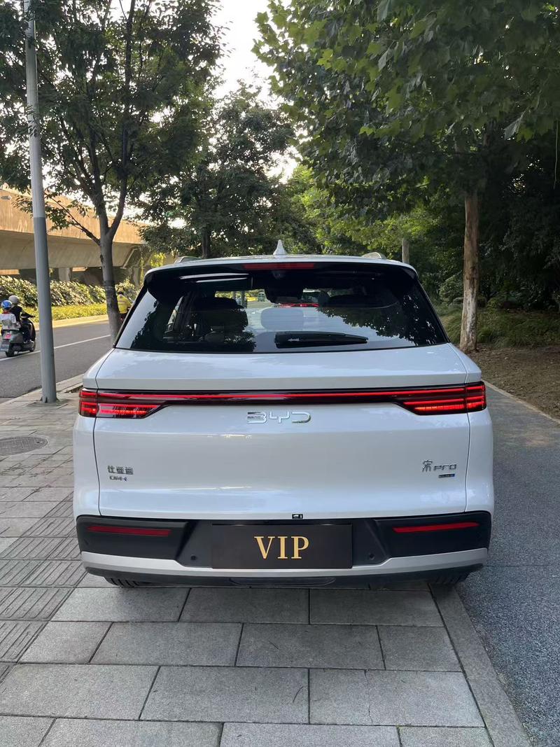 BYD Song Pro Hybrid, 2024 — фото 5 из 10